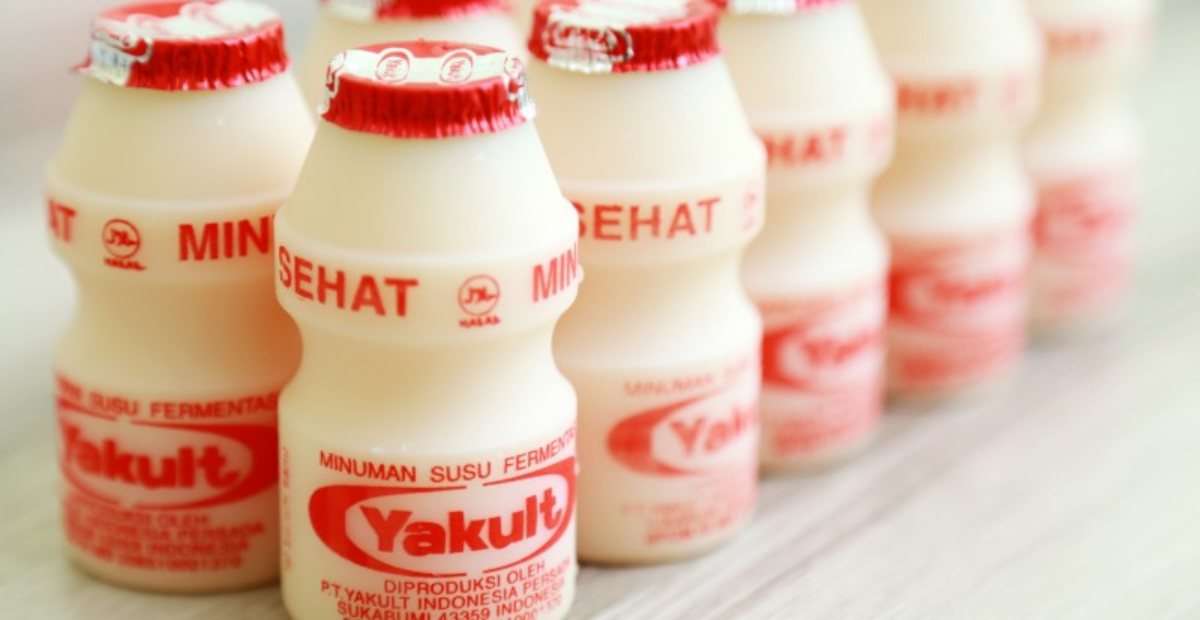 Manfaat Yakult